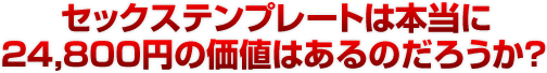 セックステンプレートは本当に２４,８００円の価値はあるのだろうか？