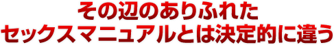 その辺のありふれたセックスマニュアルとは決定的に違う 